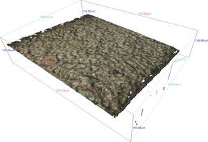 Example of the three-dimensional model of the surface.