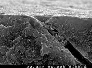 SEM representative image illustrating the “conditioned” dentin surface after treatment with Futurabond® U (cross-sectional view; 6000×).