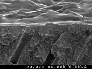 SEM representative image illustrating the smear layer covered dentin (cross-sectional view; 6000×).