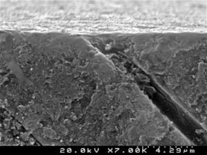 SEM representative image illustrating the “conditioned” dentin after treatment with Clearfil™ S3 Bond Plus (cross-sectional view; 6000×).