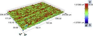 3D profilometry image of the base region of the external connection implant (CE), at the initial state, in an area of measurement of 320μm×240μm. Ra=205nm.