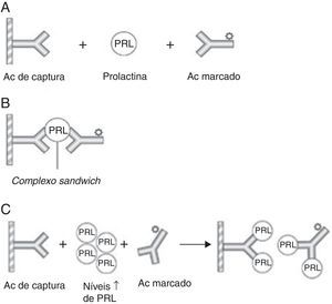 Representação esquemática de um imunoensaio de dois sítios para a prolactina e do «hook effect» (A) Utilizam‐se dois Acs específicos ‐ o Ac de captura (fixo numa matriz de fase sólida) e o Ac marcado (sinalizador) – que se ligam a diferentes epítopos da PRL formando um complexo sandwich. (B) O excesso de Acs marcados não ligados é removido com a fase líquida, restando os complexos sandwich que vão emitir um sinal, o qual é directamente proporcional à concentração de PRL sérica. (C) O «hook effect» verifica‐se quando os níveis de PRL são muito elevados causando a saturação de ambos os Acs (de captura e sinalizador), o que impede a formação dos complexos sandwich com consequente diminuição da detecção quantitativa da PRL. PRL: prolactina; Ac: anticorpo. Adaptado da Smith et al.16.