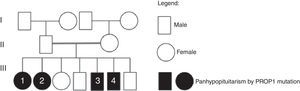 Family heredogram. Number 1, 2, 3 and 4 inside de boxes represent the patients #1, #2, #3 and #4, described along the text.