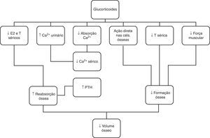 Mecanismos da perda de massa óssea em doentes sob corticoterapia. Ca2+: cálcio; Céls: células; E2: estrogénio; PTH: paratormona; T: testosterona;.