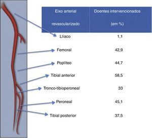 Distribuição dos procedimentos de revascularização realizados, por eixo arterial tratado.