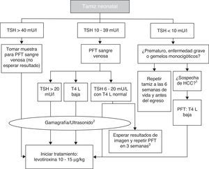 Diagrama de flujo para el tamiz neonatal. PFT: pruebas de función tiroidea; TSH: hormona estimulante de la tiroides; T4 L: tetrayodotironina libre; HCC: hipotiroidismo congénito central. 1 Micropene, criptorquida, hipoglucemia, defectos de la línea media. 2 La gammagrafía se puede realizar hasta 5 días después de haber iniciado tratamiento, pero no se debe retrasar el mismo en espera de los estudios de imagen. 3 En estos casos se deja que el clínico tome la decisión de iniciar el tratamiento de inmediato y revalorar a los 3 años, o postergar la decisión tres semanas con nueva medición de hormonas tiroideas y estudios de imagen. Basado en el Consenso de la Sociedad Europea de Endocrinología Pediátrica para el Tamizaje, Diagnóstico y Tratamiento del Hipotiroidismo Congénito (Léger y colaboradores, 2014).