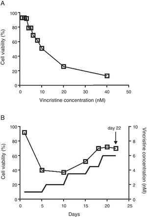 The CCRF-SB cell line is sensitive to vincristine. A. To obtain the IC50 (10nM), cells were exposed to growing concentrations of vincristine for 48h. B. Cell viability (□) and vincristine concentration (—) during the gradual adaptation protocol. The arrow shows the time point at which cells were harvested for proteomic studies.