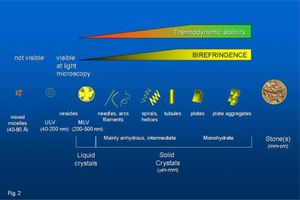 Schematic overview of cholesterol carriers in bile, according to microscopic appearance and crystal shapes. ULV, unilamellar vesicles; MLV, multilamellar vesicles (with typical “maltese cross” birefringent aspect at polarizing light microscopy).