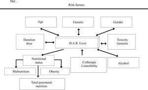 Risk Factors for developing hepatotoxicity.