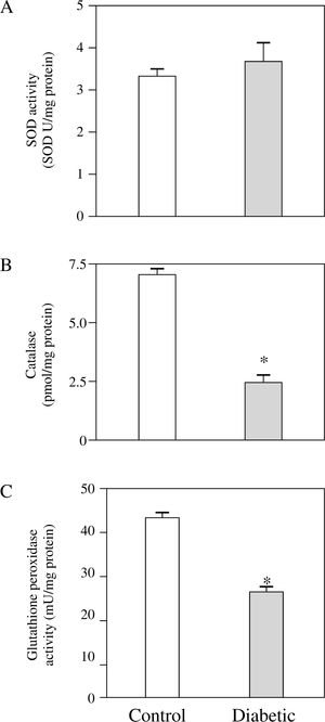 Hepatic morphological changes and oxidative stress in chronic  streptozotocin-diabetic rats