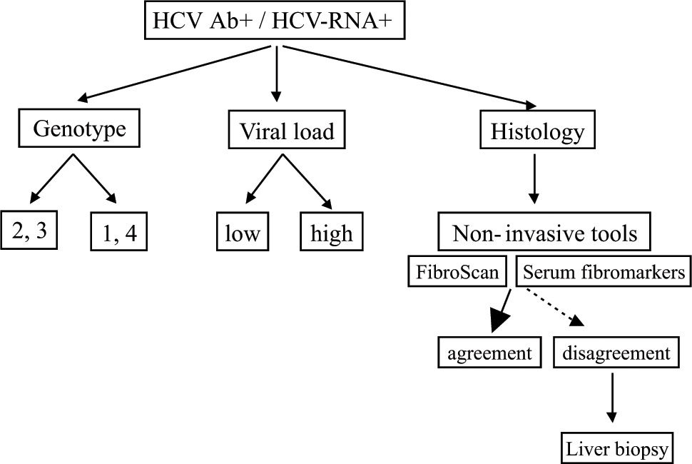Current concepts in the management and treatment of hepatitis C in HIV ...