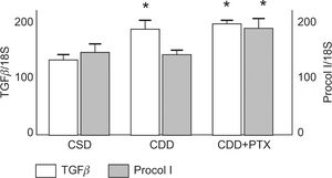 Hepatic TGF-β and Procollagen I (Procol I) gene expression after eight weeks of treatment with a choline deficient diet (CDD) with or without pentoxyphilline (PTX) supplementation. Control animals received a choline-supplemented diet (CSD). There was a significant increase in liver TGF-β mRNA levels in rats treated with both CDD and CDD+PTX, compared to control animals indicating ongoing fibrogenesis. No significant differences in TGF-β mRNA expression occurred between the CDD and CDD+PTX groups. mRNA levels of Procol I increased significantly only in the CDD+PTX group compared to the control animals. Data represented as mean ± SEM. *P < 0.05 compared to controls.