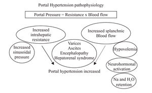 Pregnancy and portal hypertension share increased volume state.