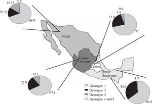 Distribution of HCV genotypes according to geographic areas in Mexico (values are expressed as percentage)