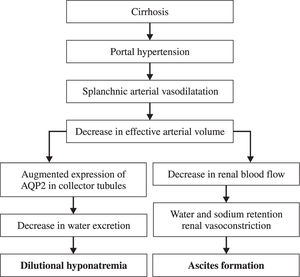 Pathogenesis of ascites and dilutional hyponatremia.