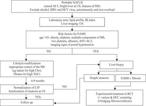 NAFLD/NASH: diagnostic flow chart. Abbreviations NAFLD: Non Alcoholic Fatty Liver Disease; MS: Metabolic Syndrome; HBV: Hepatitis B Virus, HCV: Hepatitis C Virus; US: Ultrasound; HCC: Hepatocellular Carcinoma; IR: Insulin Resistance.