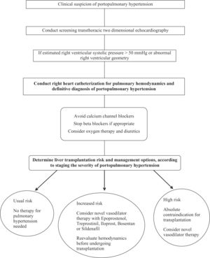 Screening and management algorithm for portopulmonary hypertension.