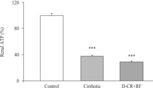 Renal cortical ATP from control, cirrhotic and decompensated cirrhotic rats with renal failure (RF), produced by CCl4. Symbols as in figure 3. Mean ± SEM of the percent change are shown, ***p < 0.001, when compared with control group.