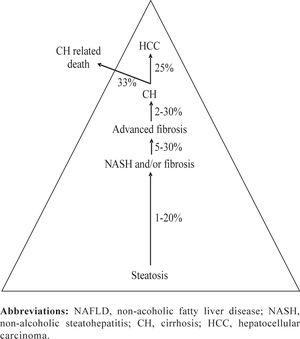 Natural course of NAFLD in 8-13 years (data from references 1-4, 10, 12, 15, 18, 21, 26).