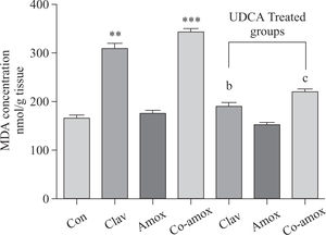 Hepatic MDA levels in the study groups: Control(Con), Clav, Amox and Co-amoxyclav (Co-amox) in the absence or presence of UDCA. Values of each bar represent the mean ± SEM, (n = 8-10/group). Data comparison was performed using ANOVA followed by Bonferroni’s test. **p > 0.01; ***p > 0.001 compared with control value. Statistical difference between UDCA non-treated groups (Clav, Amox, Co-amoxyclav) and UDCA treated groups (Clav + UDCA, Amox + UDCA and Co-amoxyclav + UDCA) respectively was determined using multiple pair comparison Bonferroni’s test; bp > 0.01; cp > 0.001.