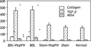 Tissue collagen (μg/mg protein), transforming growth factor-ß (TGF-ß; pg/g tissue) and malondialdehyde (MDA; nM/g tissue) levels. * P < 0.001 versus the sham + peginterferon (PegIFN), sham, and normal control groups. ‡ P = 0.036 versus bile duct ligation (BDL) group. Peginterferonal pha 2b (50 μg/kg) or saline (1 mL/kg) were administered intraperitoneally every week for four weeks.