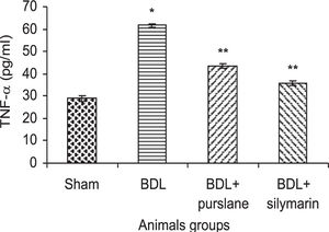 Effect of purslane (400 mg/Kg, 4wks) in comparison with silymarin (50 mg/Kg, 4wks) on the levels of serum TNF-α BDL-rat. Values are (mean ± SE). * Significantly different from sham-operated group. ** Significantly different from BDL group at p < 0.05 level.