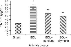 Effect of purslane (400 mg/Kg, 3wks) in comparison with silymarin (50 mg/Kg, 3wks) on the levels of serum TNF-α in BDL-rat. Values are (mean ± SE). * Significantly different from sham-operated group. ** Significantly different from BDL group at p < 0.05 level.