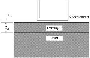 Two-layer model used in liver-iron calculation. In the diagram, zSS is the distance from the patient’s skin to the bottom of the susceptometer, and zLS is the liver-skin distance measured by ultrasound. These values are used in Eq. 1 to account for alterations in susceptometry measurements due to increasing distance and changes in the magnetic field from non-hepatic tissue.