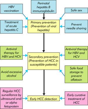 Model for the control of HCC at the population level.