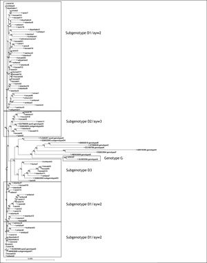 Phylogenetic tree of hepatitis B virus (HBV) isolates obtained from hemodialysis patients. The phlyogenetic analysis based to reverse transcriptase (codon; 43-344) and S gene (codon; 34-277) regions of HBV sequences (768 bp). Neigbor-Joining analysis was carried out with other sequences from all HBV genotypes from GenBank using CLC Sequence Viewer 6.0 (CLC bio A/S, Aarhus, Denmark) software. Bootstrap support value (100 replicates) are shown at the respective branchers.