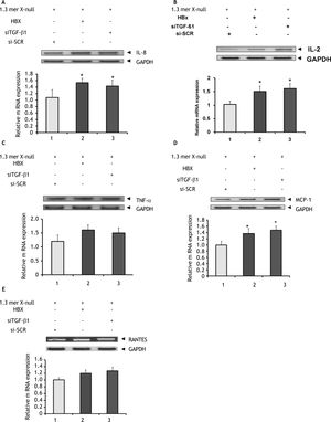 Effect of TGF-ß1 knockdown on gene related to cytokines and chemokines. HepG2 cells were transfected in three 100 mm plate with different combinations as discussed in figure legend 1. Total cellular RNA was isolated with Trizol. RNA from control (1.3mer HBV x-null + siSCR) and experimental groups were analyzed for the expression of different cytokines and chemokines by end point RT-PCR and reconfirmed by real time PCR as shown in figure 4A–4E. All data were presented as mean ± SEM of triplicate values from three independent experiments. Significant difference from control (1.3mer HBV x-null + siSCR) is represented by an asterisk (*P < 0.05).
