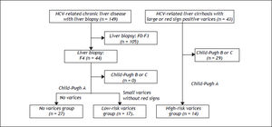 Algorithm for the classification of the patients with HCV-related compensated (Child-Pugh class A) cirrhosis. The 44 patients with a METAVIR score of F4 (shown in figure 1) were categorized as compensated cirrhotic patients with a low risk of variceal bleeding; 27 patients were diagnosed with liver cirrhosis without detectable varices (no varices group) and the remaining 17 patients had small varices without red signs (low-risk varices group). Of the CLD patients in our department, 43 HCV-positive patients were found to have a high risk of variceal bleeding because they had large varices (grade III-IV) or small varices with red signs. In these HCV-related cirrhotic patients, the 14 patients with Child-Pugh class A were categorized as the HCV-related compensated cirrhotic patients with a high risk of variceal hemorrhage (high-risk varices group).