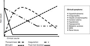 Schematic course of biochemical parameters and clinical symptoms in progressive acute liver failure. Acute liver failure can lead to typical progression of biochemical parameters, such as temporary elevation of transaminases, increasing levels of bilirubin, and coagulopathy. The individual progression of parameters not only depends upon the degree of functional impairment or the severity of liver damage, but also on the particular half-life of parameters in blood. Potentially true liver function is affected at an earlier point in time and decreased faster in comparison to blood parameters. In addition, several clinical signs can lead to the diagnosis of ALF. However, these parameters usually only become apparent in end-stage ALF and indicate a vital risk for the patient.