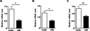 Notch signal was blocked by treated with GSI, as expression of Hesl mRNA was down-regulated. A. The mRNA expression of Hes1 by HUVECs treated by GSI or DMSO. B. The mRNA expression of Hes1 by RAW264.7 cells treated by GSI or DMSO. C. The mRNA expression of Hes1 by HSC-T6 cells treated by GSI or DMSO. Bars = mean ± SD (n = 4), *P < 0.05, **P < 0.01.