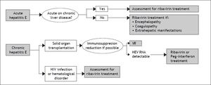 Therapeutic approach for acute and chronic hepatitis E infection.