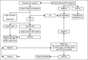 Algorithm for the management of a suspected exposure to HCV, adapted from data in references 124, 126 and 127. HBV: hepatitis B virus. HCW: health care worker. HIV: human immunodeficiency virus. LFTs: liver function tests. PCR: polymerase chain reaction. RNA: ribonucleic acid. EIA: enzyme immunoassay.