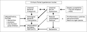 Pathogenesis of spontaneous bacterial peritonitis.