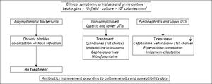 Flowchart for the diagnosis and treatment of urinary tract infection (UTI).