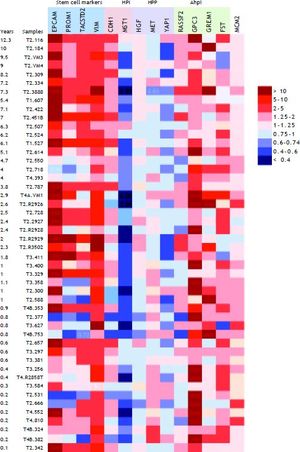 Heat map of genes associated with years of recurrence-free survival. Red represents over-expression, and blue represents under-expression, as fold-change compared to average expression of normal control samples.