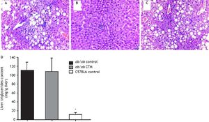 Effects of cholestyramine (CTM) administration on liver histology and hepatic triglyceride content in ob/ob mice. Upper panel: 12-week-old ob/ob mice (A) developed marked steatosis compared to chow-fed, age-matched C57Bl6 mice (B). CTM administration during 8 weeks did not prevent liver steatosis development in obese ob/ob mice (C) (haematoxylin-eosin stain, 20 x). Lower panel: D. Hepatic triglycerides content (mg/g liver) in chow-fed and CTM-fed ob/ob mice compared with a chow-fed control non-obese (C57BL6) mice. Results are as mean ± SD (n = 4-6).
