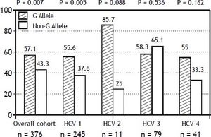 Steatosis (%), according to PNPLA3 allele, by HCV-genotype distribution. HCV: hepatitis C virus.