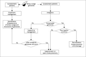 Flow-chart depicting the standard therapy of biliary sludge and gallstones during pregnancy. For management purposes, biliary sludge and gallstones should be considered similar in almost all respects. Surgery generally is reserved for pregnant women with recurrent or unrelenting biliary pain refractory to medical management or with complications related to gallstones, including obstructive jaundice, acute cholecystitis, gallstone pancreatitis, or suspected peritonitis. For its safety, laparoscopic or elective cholecystectomy is one of the most common treatments for gallbladder gallstones in pregnant women, but it is recommended after the second trimester in order to reduce the rate of spontaneous abortion and preterm labor. If cholecystectomy is required during pregnancy, laparoscopic surgery is first recommended because of its relative safety. Of special note is that the timing of surgery is important. The effect of laparoscopic surgery on a developing fetus in the first trimester is unknown and surgery is more difficult in the third trimester with uterine enlargement. The second trimester, therefore, is believed to be the optimal time for cholecystectomy. A supportive management is highly recommended if possible, delaying more definitive treatment until after childbirth. See text for details.