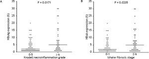 Correlation of the expression of intrahepatic HBsAg with Knodell necroinflammation grade (A) and Ishak fibrosis stage (B). Comparisons between groups were analyzed by Mann-Whitney U test.