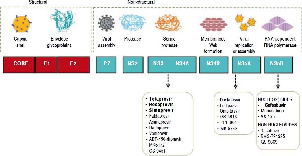 Latin American Association for the Study of the Liver Recommendations ...