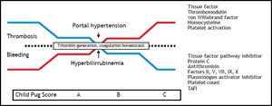 Ccagulation abnormalities according to cirrhosis progression, reflected by Child-Pugh Score. As cirrhosis progress, levels of tissue factor pathway inhibitor, protein C, antithrombin, factors II,V, VII, IX, X, plasminogen activator inhibitor, platelet count and TAFI decreases, while tissue factor, thrombomodulin, von Willebrabd Factor, homocysteine an platelet activation increases, leading to stable thrombin generation and a fragile balance between thrombosis and bleeding. Aggregated factors, such as portal hypertension or hyperbilirrubinemia, may trigger bleeding or thrombotic events. TAFI: thrombin-activatable fibrinolysis inhibitor.