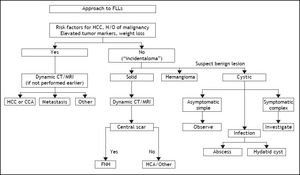 ACG Clinical Guideline: the diagnosis and management of focal liver lesions (FLLs).6