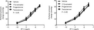 Concentration-response curves to ET-1 in intrahepatic vascular beds of cirrhotic male (A) and female (B) rats preincubated with vehicle, testosterone, progesterone or 17β-estradiol, expressed as absolute increase over baseline value. There was no significant difference among these groups.