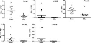 Intrahepatic estrogen receptors (ERα, ERβ), androgen receptor (AR), and progesterone receptor (PR-A+B, PR-B) mRNA expressions in male sham and BDL rats. Significant down regulations of ERa, AR and PR-A+B in BDL rats are noted.