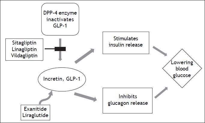 glp 1 cirrhosis Alimentary Pharmacology & Therapeutics | Pharmacology Journal GLP-1s Gain Ground in Liver