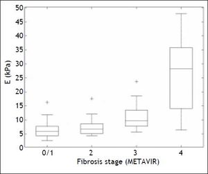 Liver stiffness measurement distribution for each fibrosis stage. The bottom and top of each box represent the 25th and 75th percentiles, line through the box indicates the median, and the bars indicate the 10th and 90th percentiles. E: elasticity. +Indicates values smaller than the 10th percentile or greater than the 90th percentile.